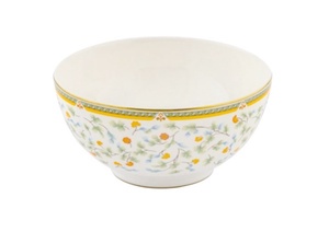 Set 6 boluri Zepter Flora din porțelan