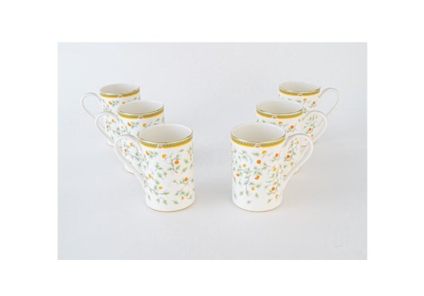 Set 6 căni de ceai Zepter Flora din porțelan